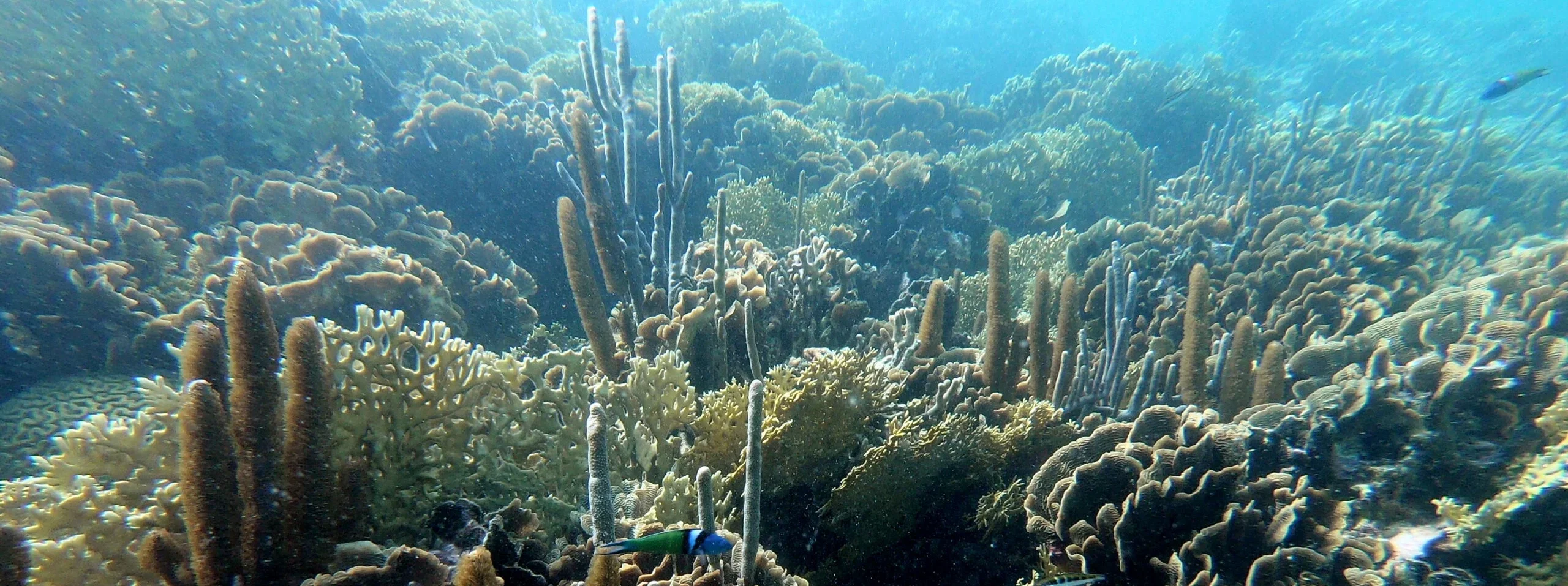 sailboat-sanblas-outdoor-yatch