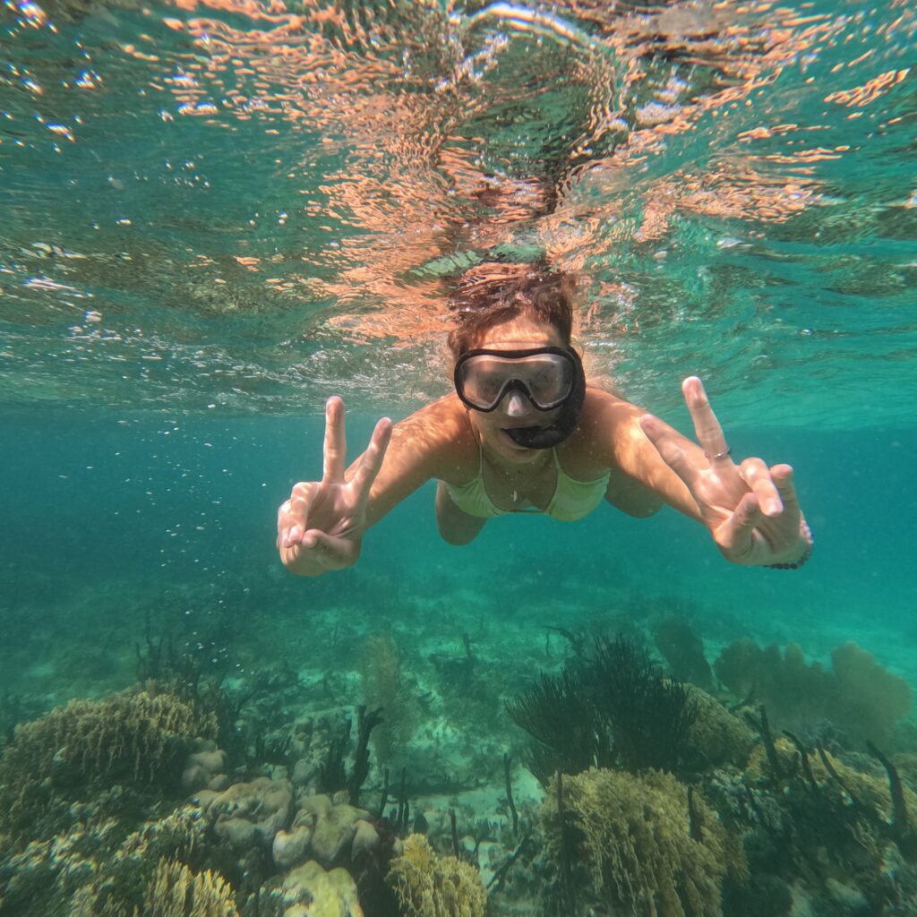 Snorkeler swimming alongside a nurse shark